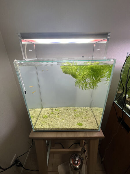 水槽の蓋1