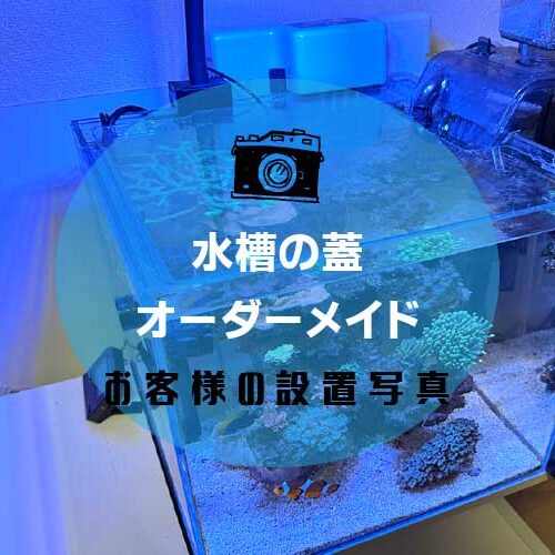 水槽の蓋アイキャッチ