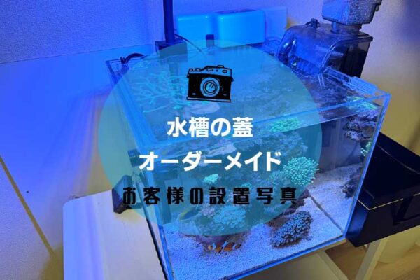 水槽の蓋アイキャッチ