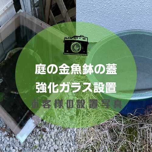 金魚鉢の蓋アイキャッチ