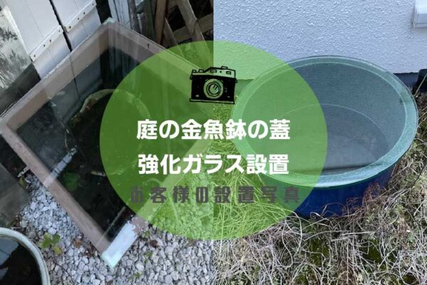 金魚鉢の蓋アイキャッチ