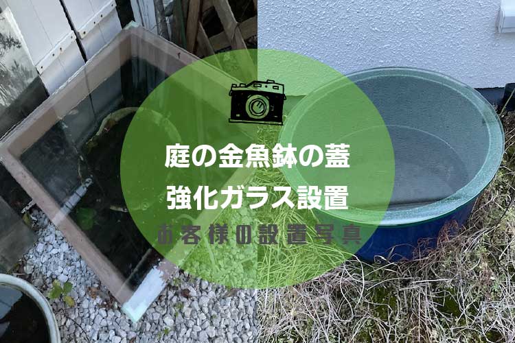 金魚鉢の蓋アイキャッチ