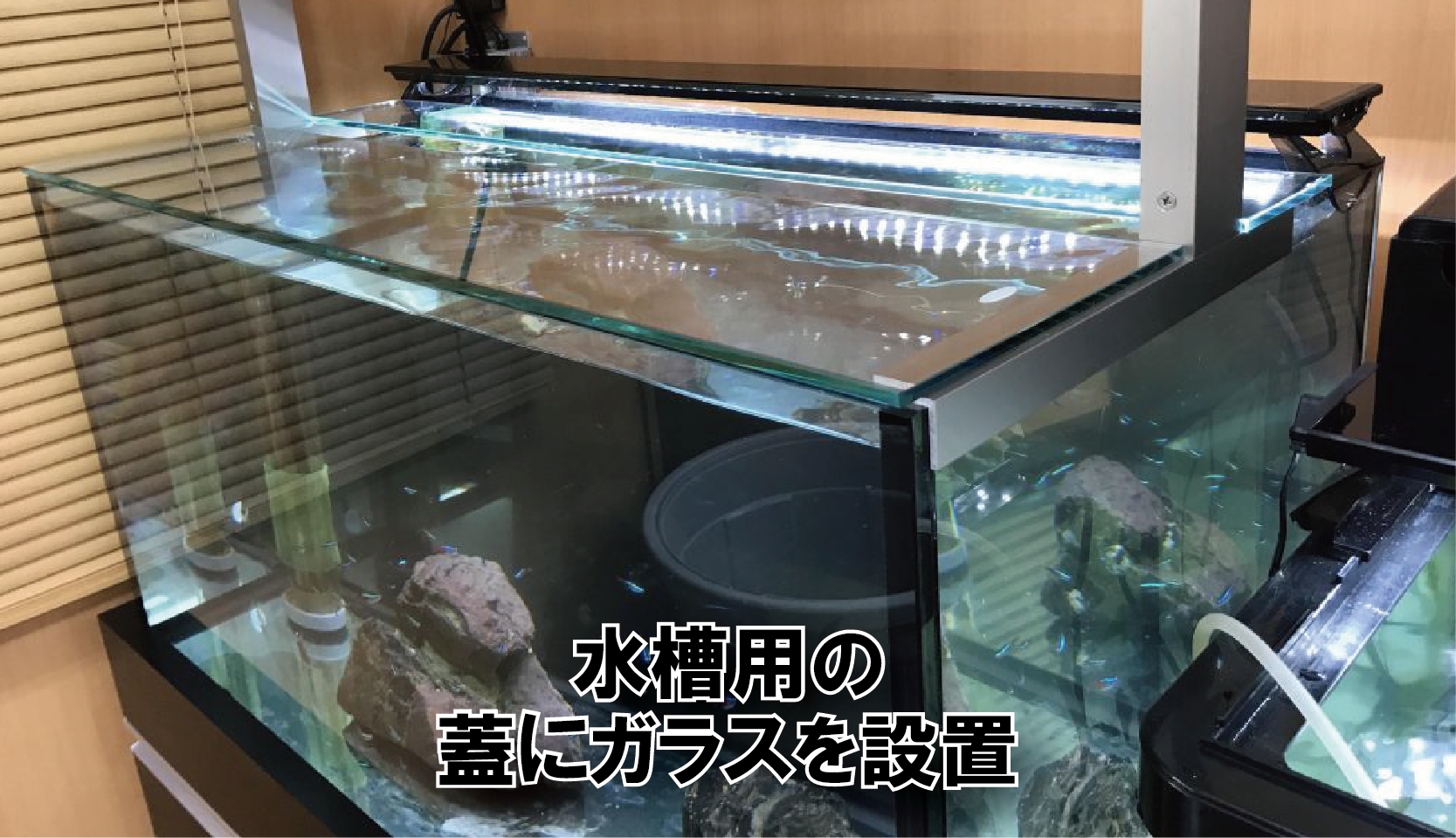 熱帯魚水槽のガラス蓋をご注文いただいたお客様(大阪市生野区Ｎ様