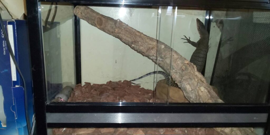 爬虫類飼育用ケージの引き戸ガラスの実例