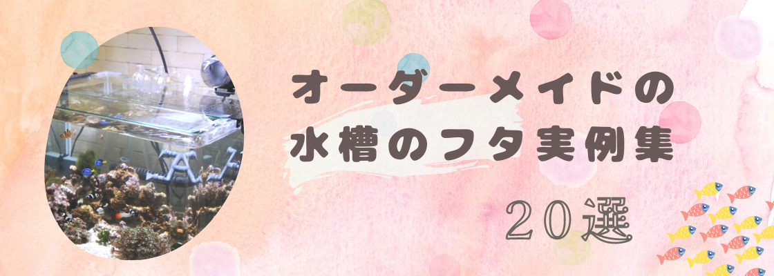 水槽のフタをオーダーメイドした実例20選！アクアリウムや大型水槽のフタを制作する方法