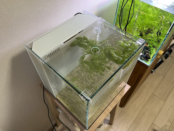 水槽の蓋3