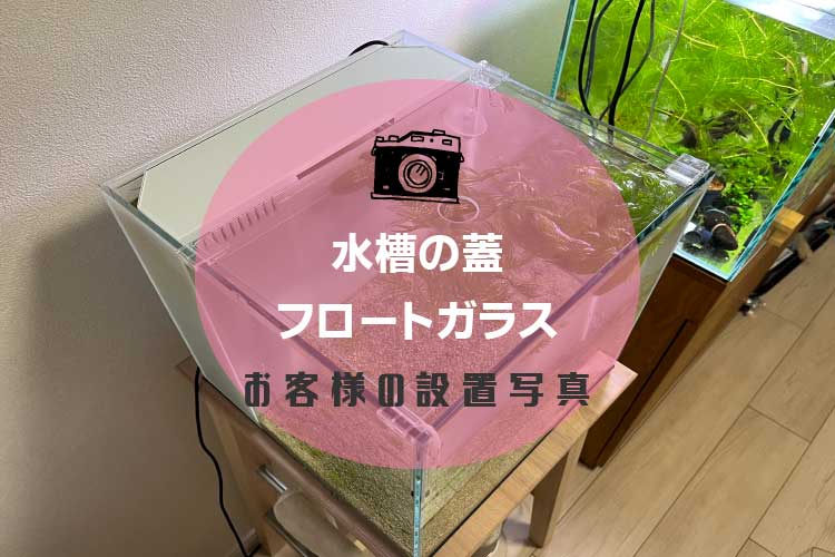 821アイキャッチ
