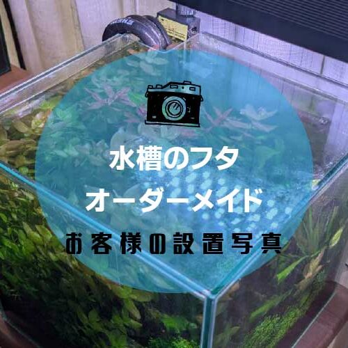 水槽の蓋アイキャッチ