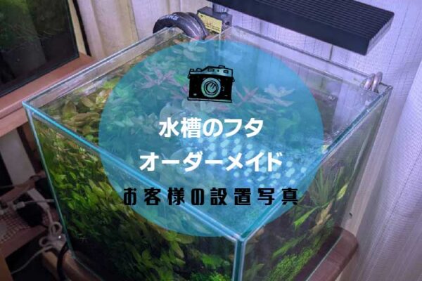 水槽の蓋アイキャッチ