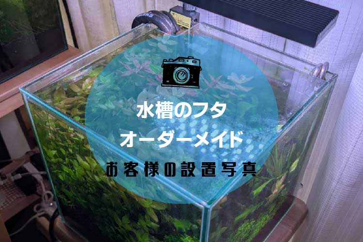 水槽の蓋アイキャッチ