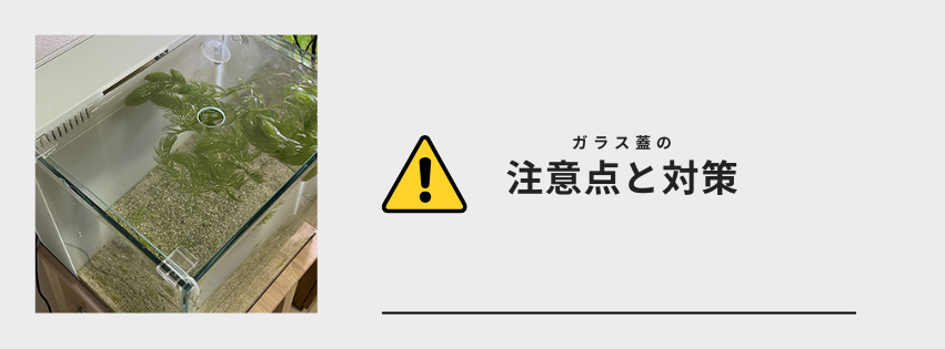 注意点