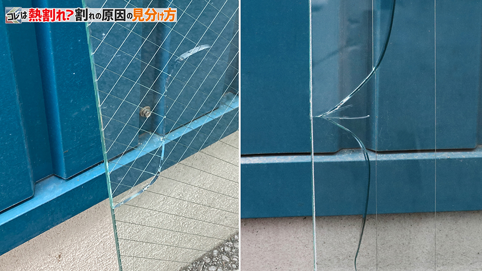 熱割れ（分岐と非分岐）