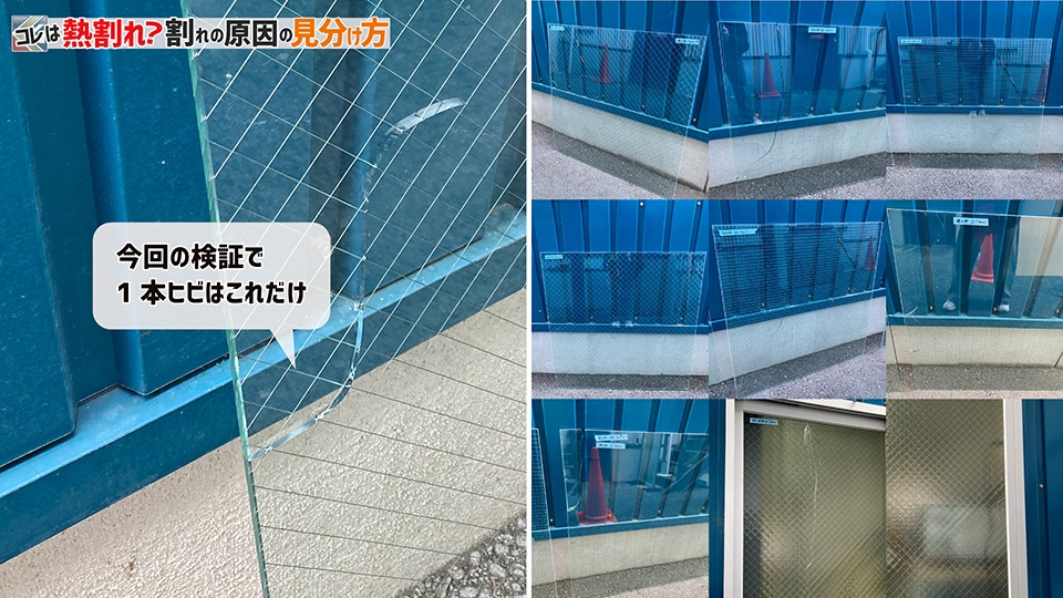 熱割れ（分岐と非分岐の分布）